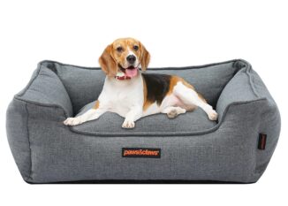 10 Designer Beds for Dogs That Will Make Your House Look Great