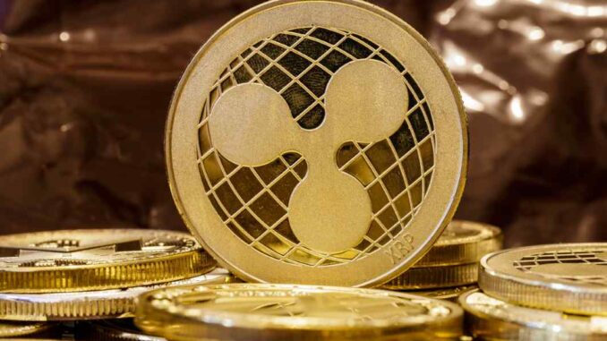 Why XRP is the best crypto to buy before 2022, according to XPunks NFTs CEO - XPunks NFTs CEO revea