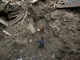 Nepal Earthquake: Death Toll Reaches 128; Communication Cut Off in Many Areas